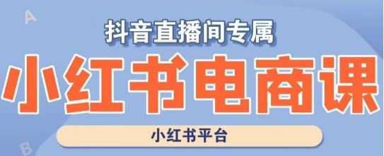 小红书电商高级运营课程，实操教学+案例分析-快赚