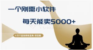 十万个富翁修炼宝典之17.一个刚需小软件,每天能卖5000+-快赚