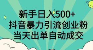 新手日入500+,抖音暴力引流创业粉,当天出单自动成交-快赚