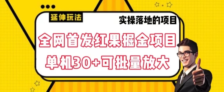 全网首发红果免费短剧掘金项目，单机30+可批量放大【揭秘】-快赚