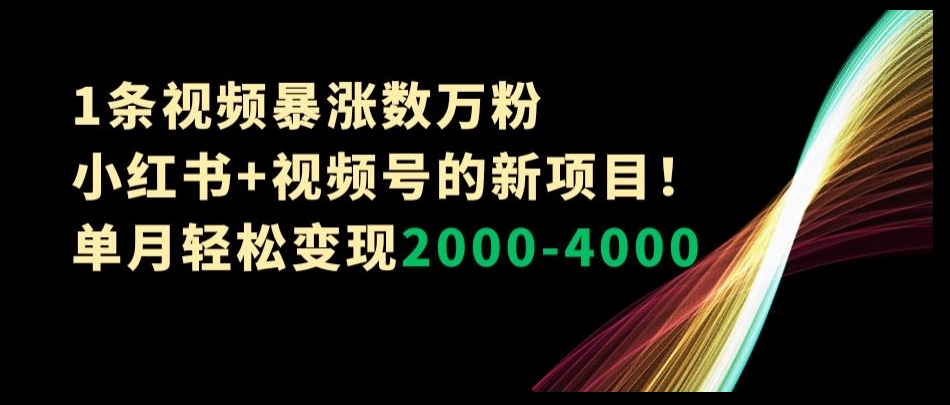 1条视频暴涨数万粉--小红书+视频号的新项目!单月轻松变现2000-4000【揭秘】