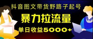 抖音图文带货暴力起号,单日收益5000+,野路子玩法,简单易上手,一部手机即可【揭秘】-快赚