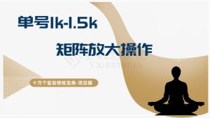 十万个富翁修炼宝典15.单号1k-1.5k,矩阵放大操作-快赚