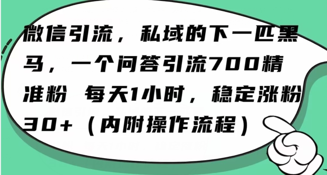 怎么搞精准创业粉？微信新赛道，每天一小时，利用Ai一个问答日引100精准粉-快赚