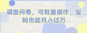 调查问卷，可批量操作，宝妈也能月入过万-快赚