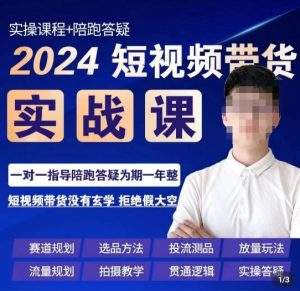 果哥·2024短视频带货实操课,赛道规划/选品方法/投流测品/放量玩法/流量规划/拍摄教学-快赚
