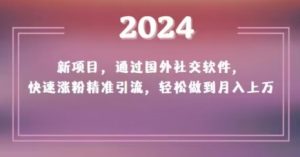 2024新项目,通过国外社交软件,快速涨粉精准引流,轻松做到月入上万【揭秘】-快赚