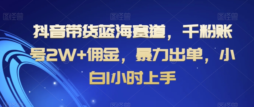 抖音带货蓝海赛道，千粉账号2W+佣金，暴力出单，小白1小时上手【揭秘】-快赚