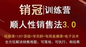 爆款！销冠训练营3.0之顺人性销售法，全方位解决销售难题、可落地、可执行、有结果-快赚
