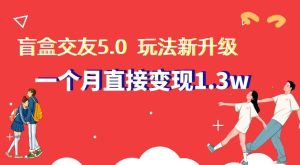盲盒交友5.0，玩法全新升级，一个月直接变现1.3W，新手小白轻松上手【揭秘】-快赚