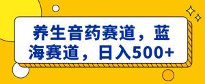养生音药赛道,蓝海赛道,日入500+【揭秘】-快赚