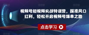 视频号短视频实战特训营，踩准风口红利，轻松开启视频号爆单之路-快赚