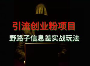 【引流创业粉】野路子信息差玩法实战教学-快赚