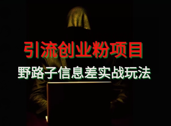 【引流创业粉】野路子信息差玩法实战教学-快赚