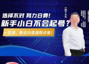 大左教您从0到1做直播带货,选择不对,努力白费,5小时课程搞定那点事,解决你起号问题-快赚