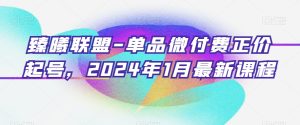 臻曦联盟-单品微付费正价起号，2024年1月最新课程-快赚