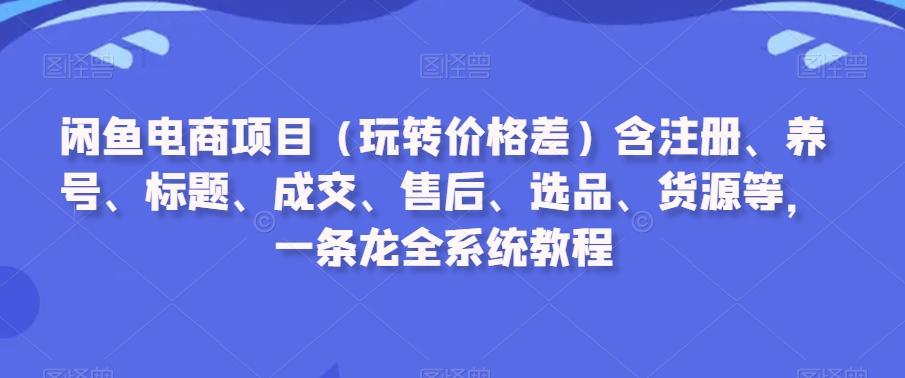 闲鱼电商项目(玩转价格差)含注册、养号、标题、成交、售后、选品、货源等，一条龙全系统教程-快赚