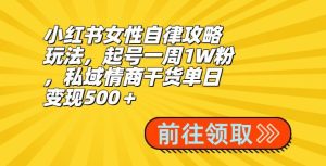 小红书女性自律攻略玩法，起号一周1W粉，私域情商干货单日变现500＋-快赚