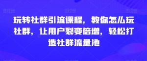 玩转社群引流课程,教你怎么玩社群,让用户裂变倍增,轻松打造社群流量池-快赚