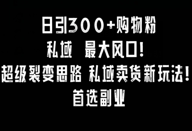 日引300+购物粉，超级裂变思路，私域卖货新玩法，小红书首选副业【揭秘】-快赚