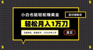 谷歌看广告撸美金2.0,无脑挂机,多号操作,月入1万刀【揭秘】-快赚