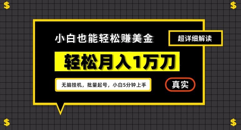 谷歌看广告撸美金2.0，无脑挂机，多号操作，月入1万刀【揭秘】-快赚