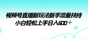 视频号直播新玩法新手流量扶持小白轻松上手日入600＋【揭秘】-快赚