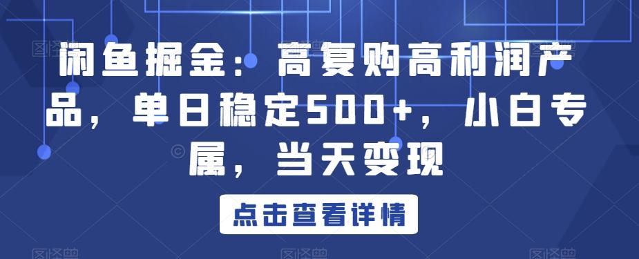 闲鱼掘金：高复购高利润产品，单日稳定500+，小白专属，当天变现-快赚