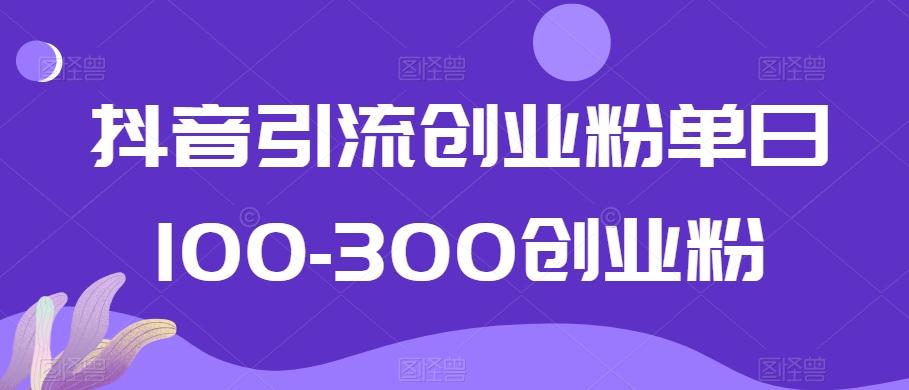 抖音引流创业粉单日100-300创业粉【揭秘】-快赚