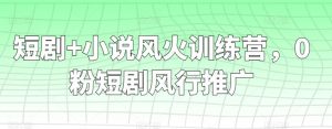 短剧+小说风火训练营，0粉短剧风行推广-快赚
