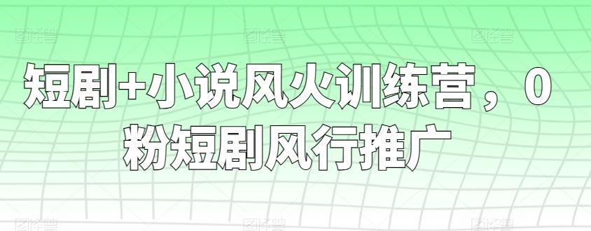 短剧+小说风火训练营，0粉短剧风行推广-快赚