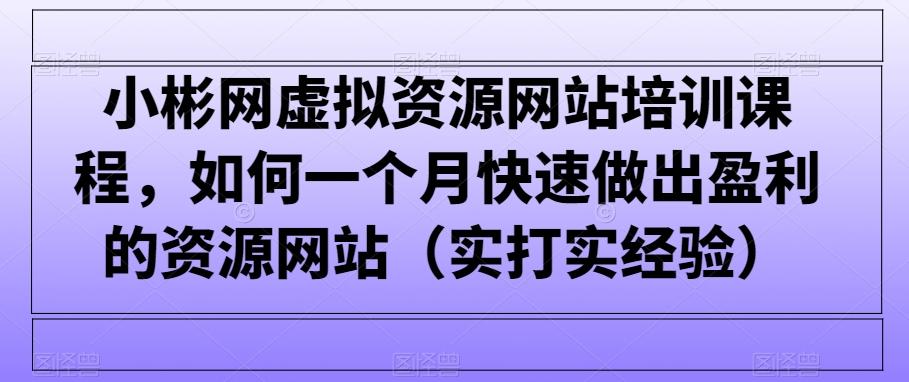 小彬网虚拟资源网站培训课程，如何一个月快速做出盈利的资源网站(实打实经验)-快赚
