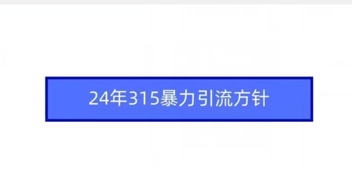 24年315暴力引流方针-快赚