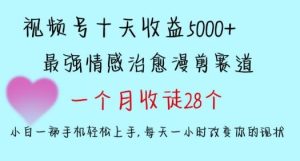 十天收益5000+，多平台捞金，视频号情感治愈漫剪，一个月收徒28个，小白一部手机轻松上手【揭秘】-快赚