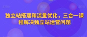 独立站搭建和流量优化，三合一课程解决独立站运营问题-快赚