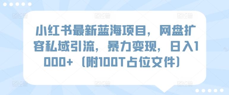 小红书最新蓝海项目,网盘扩容私域引流,暴力变现,日入1000+(附100T占位文件)【揭秘】
