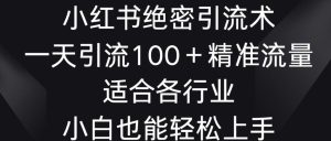 小红书绝密引流术，一天引流100+精准流量，适合各个行业，小白也能轻松上手【揭秘】-快赚
