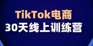 TikTok电商带货30天线上课,不可错过的全球流量洼地!-快赚