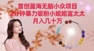 首创蓝海无脑小众项目,2分钟暴力吸粉小姐姐富太太,月入几十万【揭秘】-快赚