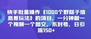 快手批量操作《1000个野路子信息差玩法》的项目，一分钟做一个视频一个图文，不封号，日引流150+【揭秘】-快赚