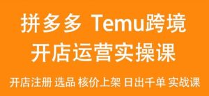 2024Temu最新玩法，Temu跨境开店运营实操课，开店注册/选品/核价上架/日出千单实战课-快赚
