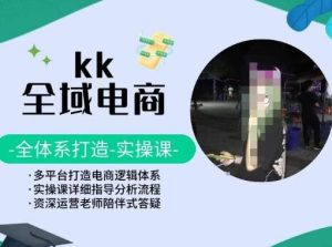 KK全域电商,全体系打造实操课,多平台打造电商逻辑体系-快赚