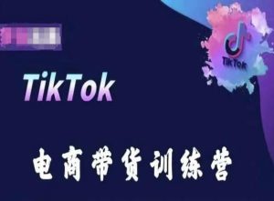 TikTok电商带货训练营,跟随时代潮流,跨境掘金-快赚