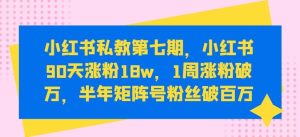 小红书私教第七期,小红书90天涨粉18w,1周涨粉破万,半年矩阵号粉丝破百万-快赚