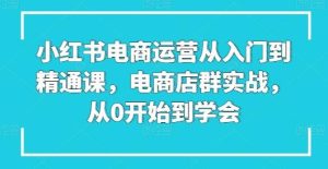 小红书电商运营从入门到精通课，电商店群实战，从0开始到学会-快赚