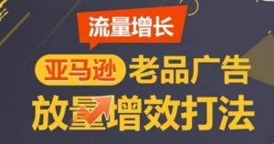 亚马逊流量增长-老品广告放量增效打法,循序渐进,打造更多TOP listing-快赚