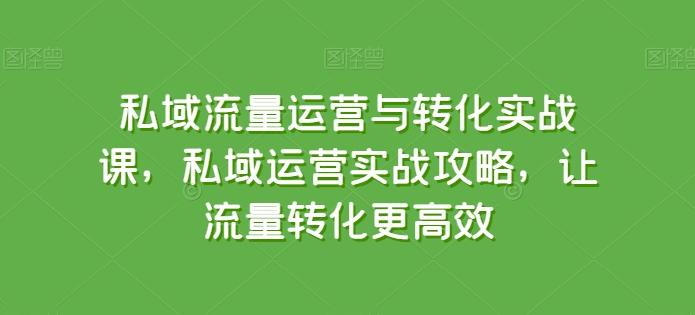 私域流量运营与转化实战课，私域运营实战攻略，让流量转化更高效-快赚