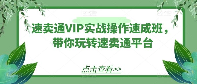 速卖通VIP实战操作速成班，带你玩转速卖通平台-快赚