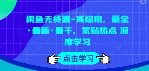 闲鱼无货源-高级班，最全·最新·最干，紧贴热点 深度学习-快赚