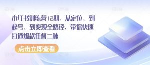 小红书训练营12期,从定位、到起号、到变现全路径,带你快速打通爆款任督二脉-快赚